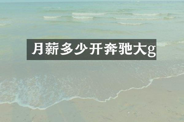月薪多少开奔驰大g