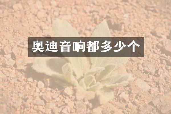 奥迪音响都多少个
