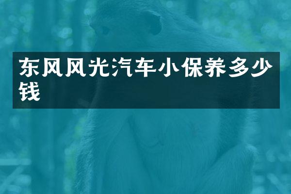 东风风光汽车小保养多少钱