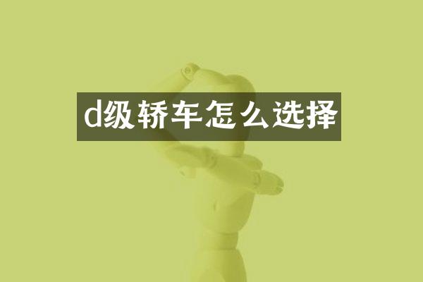 d级轿车怎么选择