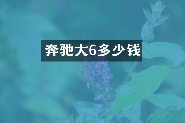 奔驰大6多少钱