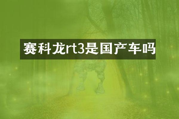 赛科龙rt3是国产车吗