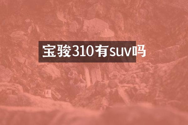 宝骏310有suv吗