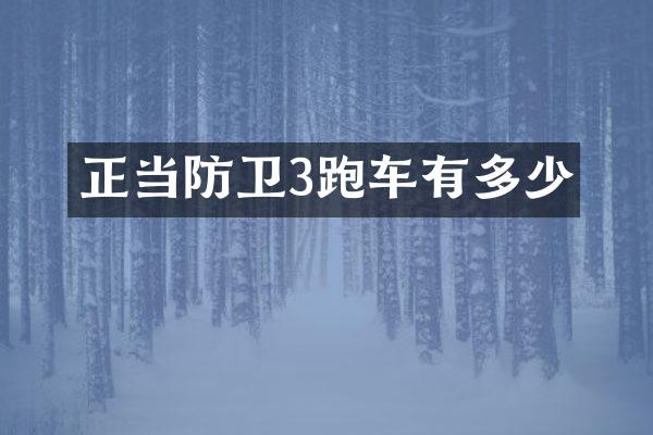 正当防卫3跑车有多少