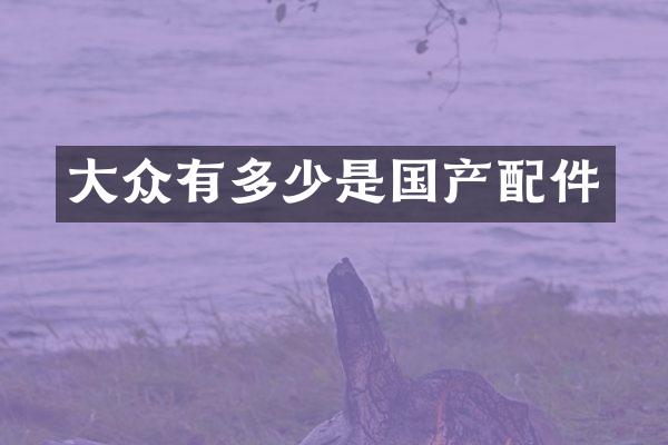 大众有多少是国产配件