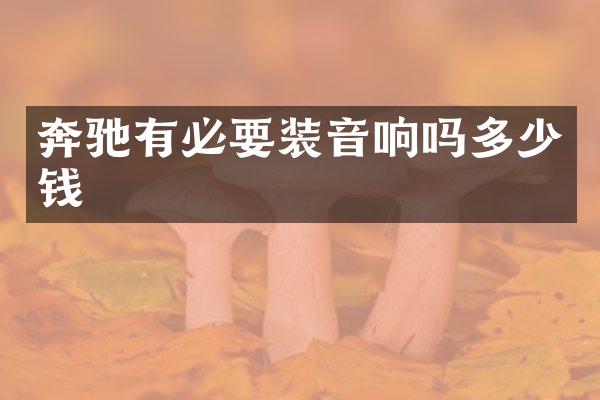 奔驰有必要装音响吗多少钱