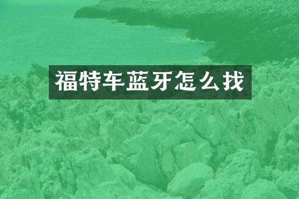 福特车蓝牙怎么找