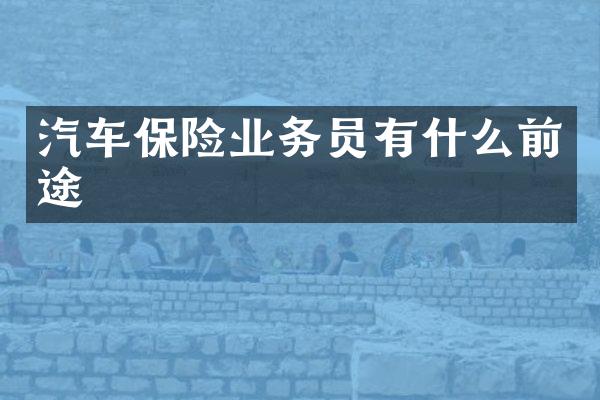 汽车保险业务员有什么前途