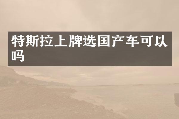特斯拉上牌选国产车可以吗