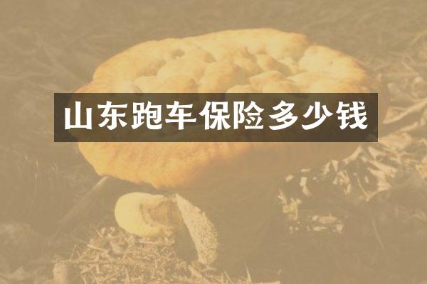 山东跑车保险多少钱