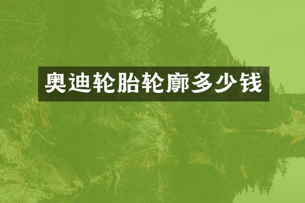奥迪轮胎轮廓多少钱
