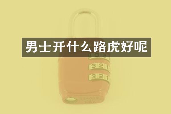 男士开什么路虎好呢
