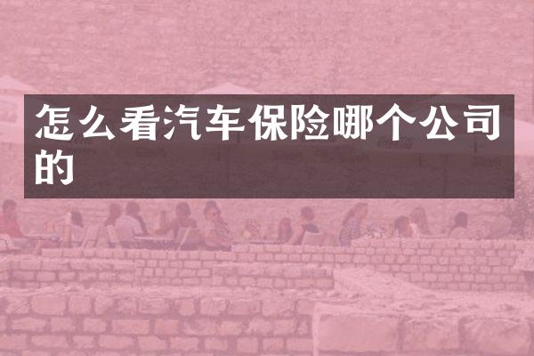 怎么看汽车保险哪个公司的