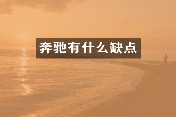 奔驰有什么缺点