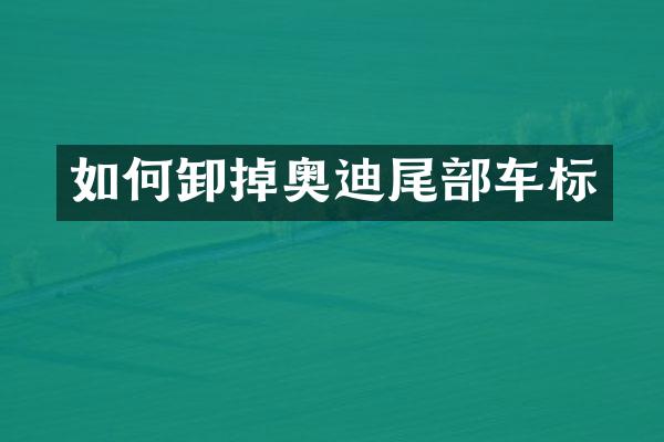 如何卸掉奥迪尾部车标