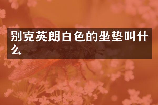 别克英朗白色的坐垫叫什么