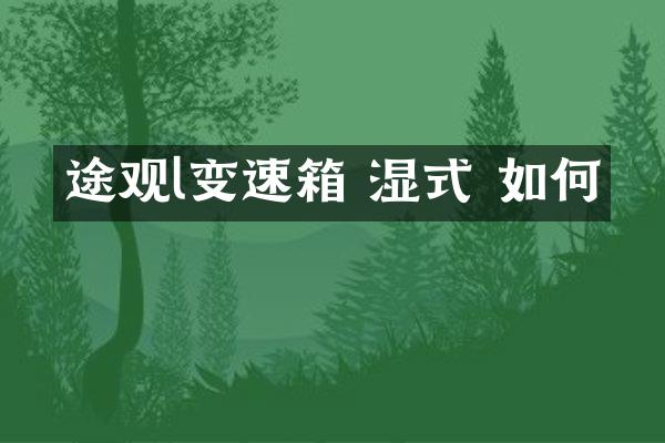 途观l变速箱 湿式 如何