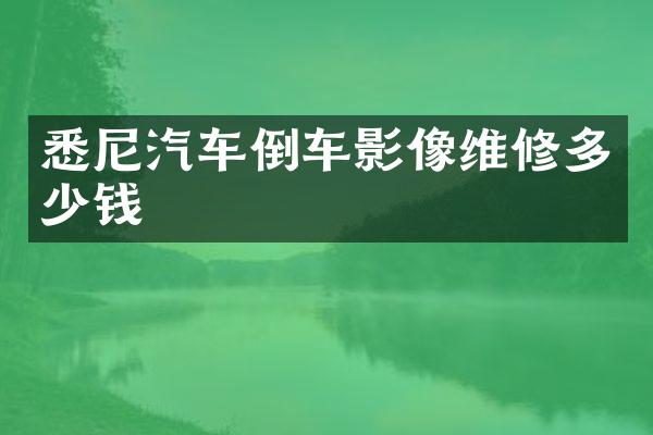 悉尼汽车倒车影像维修多少钱