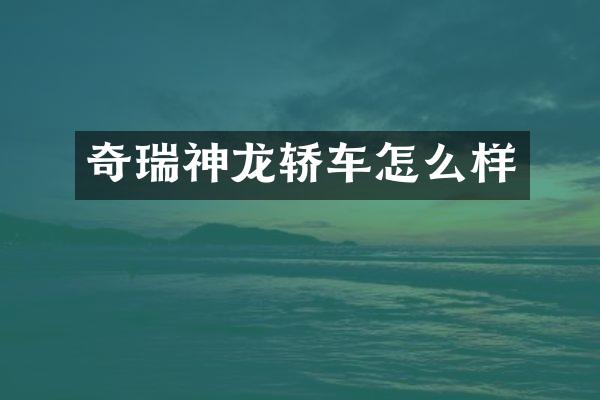 奇瑞神龙轿车怎么样
