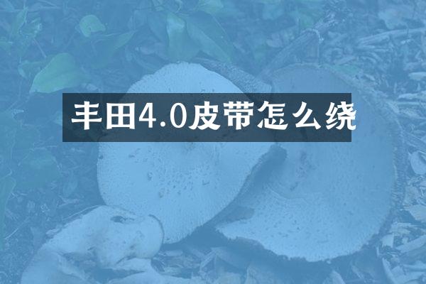 丰田4.0皮带怎么绕