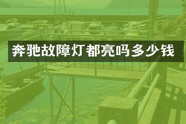 奔驰故障灯都亮吗多少钱