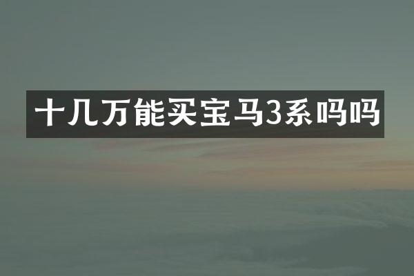 十几万能买宝马3系吗吗