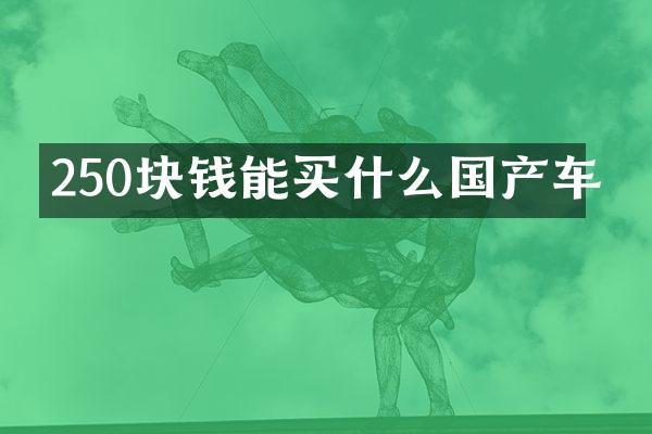 250块钱能国产车