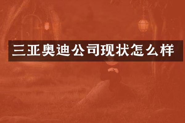 三亚奥迪公司现状怎么样