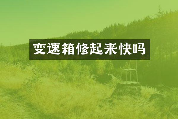 变速箱修起来快吗