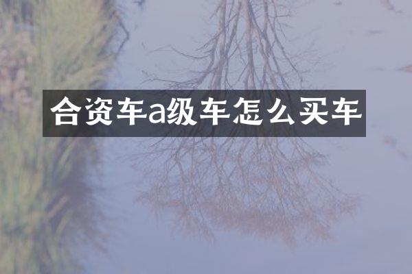 合资车a级车怎么买车