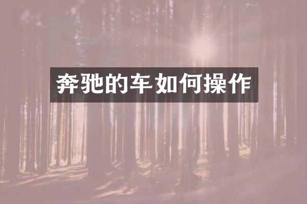奔驰的车如何操作