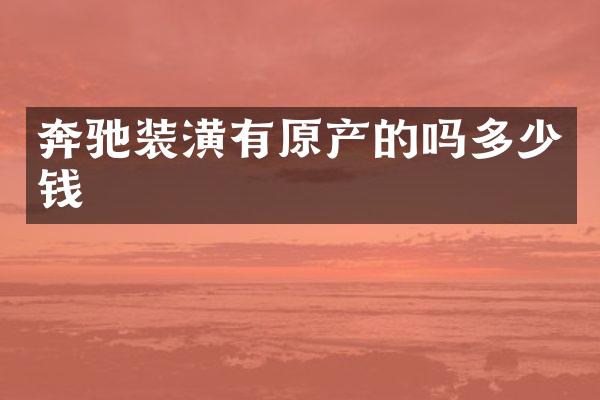 奔驰装潢有原产的吗多少钱