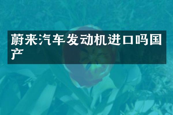 蔚来汽车发动机进口吗国产