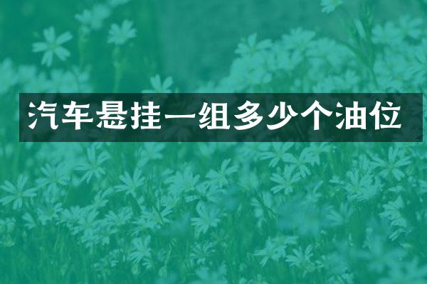 汽车悬挂一组多少个油位