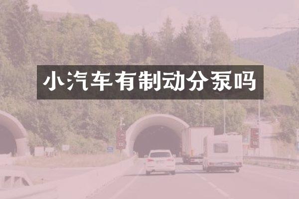 小汽车有制动分泵吗