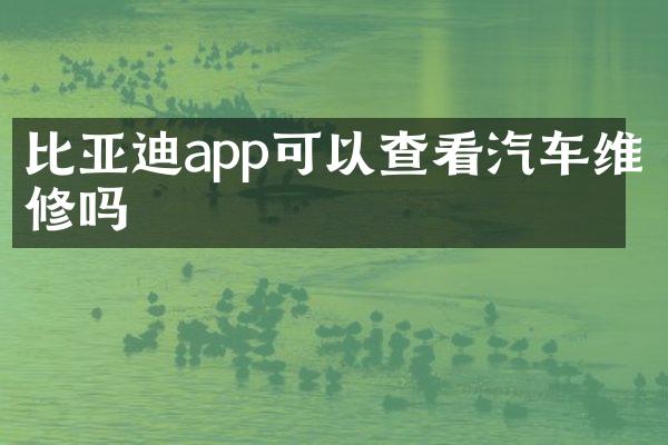 比亚迪app可以查看汽车维修吗