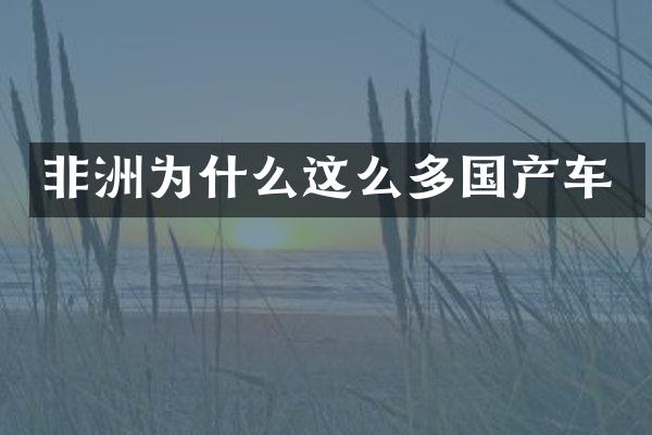 非洲为什么这么多国产车