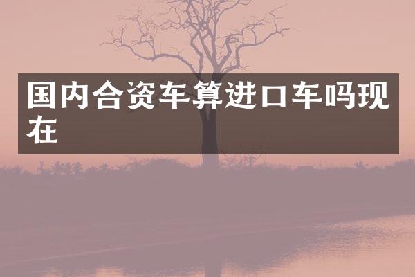 国内合资车算进口车吗现在