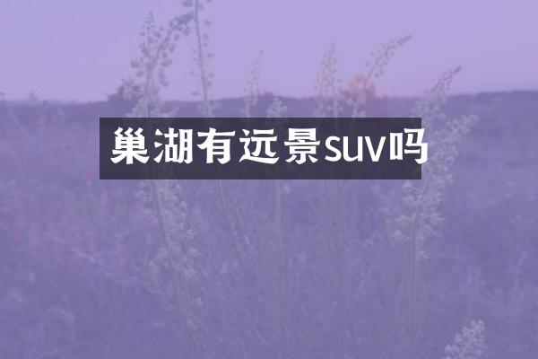 巢湖有远景suv吗