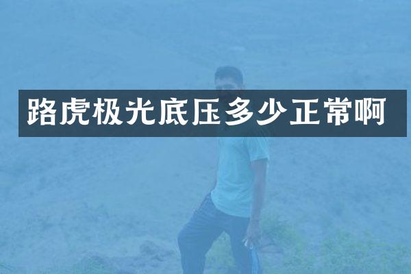 路虎极光底压多少正常啊