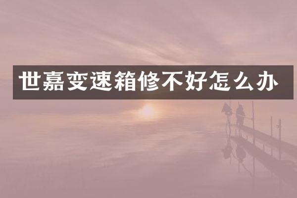 世嘉变速箱修不好怎么办