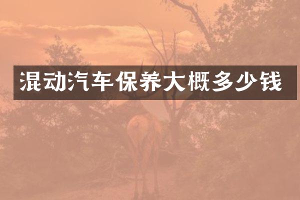 混动汽车保养大概多少钱