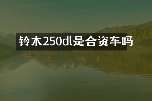 铃木250dl是合资车吗