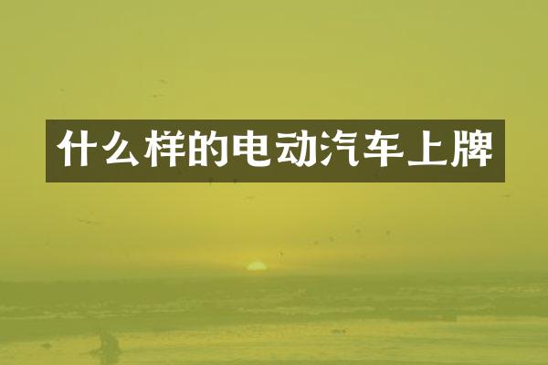什么样的电动汽车上牌