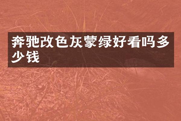 奔驰改色灰蒙绿好看吗多少钱