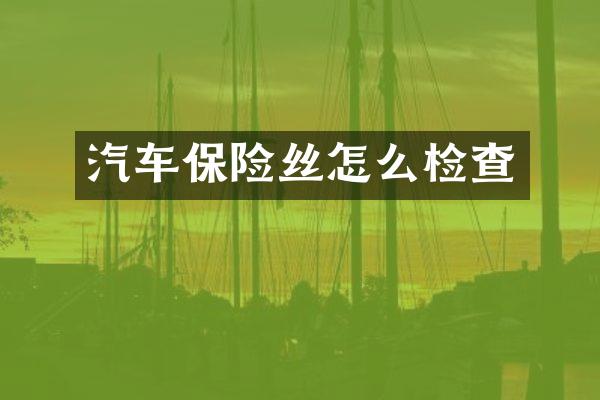 汽车保险丝怎么检查