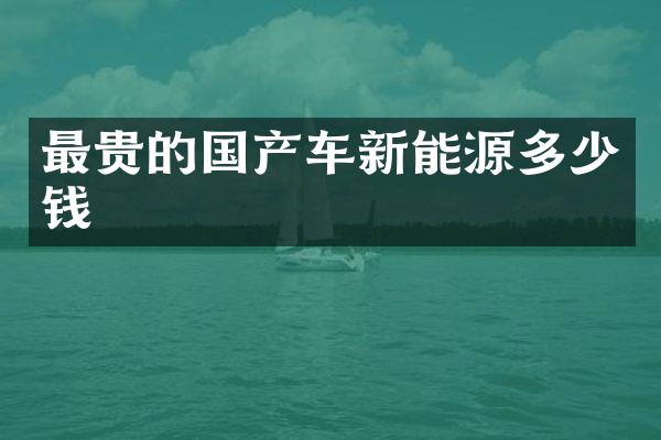 最贵的国产车新能源多少钱