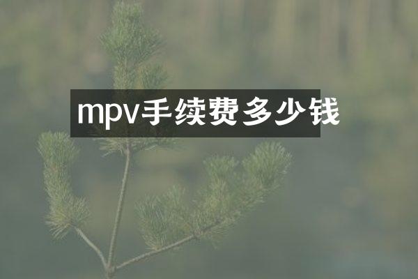 mpv手续费多少钱