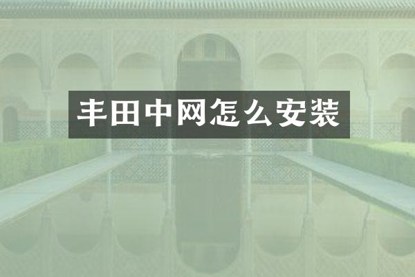 丰网怎么安装