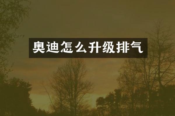 奥迪怎么升级排气